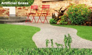 Artificial Grass